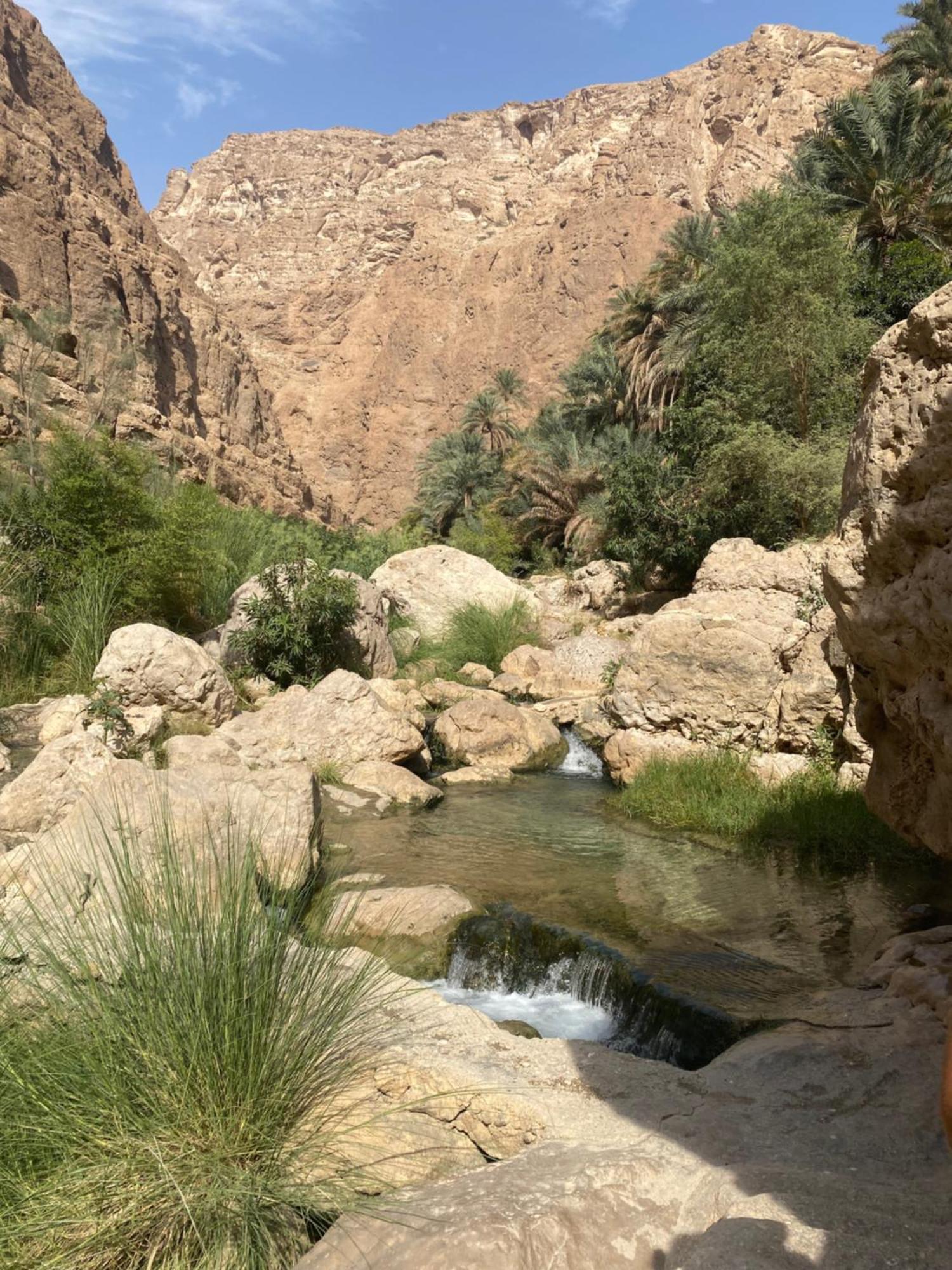 Wadi Shab Guest House Tiwi エクステリア 写真